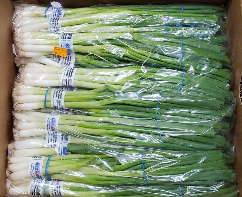 [Special!!!] 파 1봉 24단 (Green Onion 24 Bunch)