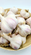 온타리오 최고급 햇 마늘 1파운드(대) (Ontario High Quality New Garlic 1Lb)