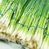 [신규입고] 파 김치 담기 좋은 가는파 1봉지 12단 (Green Onion 12 Bunch)