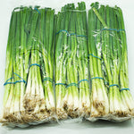 [신규입고] 파 김치 담기 좋은 가는파 1봉지 12단 (Green Onion 12 Bunch)