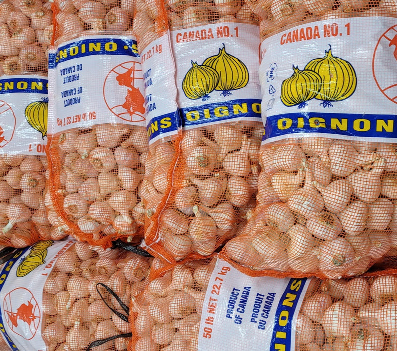 온타리오 최고급 햇 마늘 1파운드 (Ontario High Quality New Garlic 1Lb)