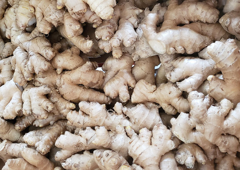 페루 유기농 생강 1lb (Organic Ginger from Peru 1lb)