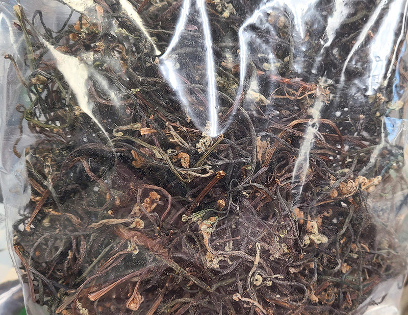 [20% 할인] 북한산 햇 고사리 0.5lb (New Bracken From North Korea 0.5lb)