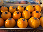 [강추] 맛있는 스페인 단감 14과 Box (Spain Sweet Persimmon 14 Units)